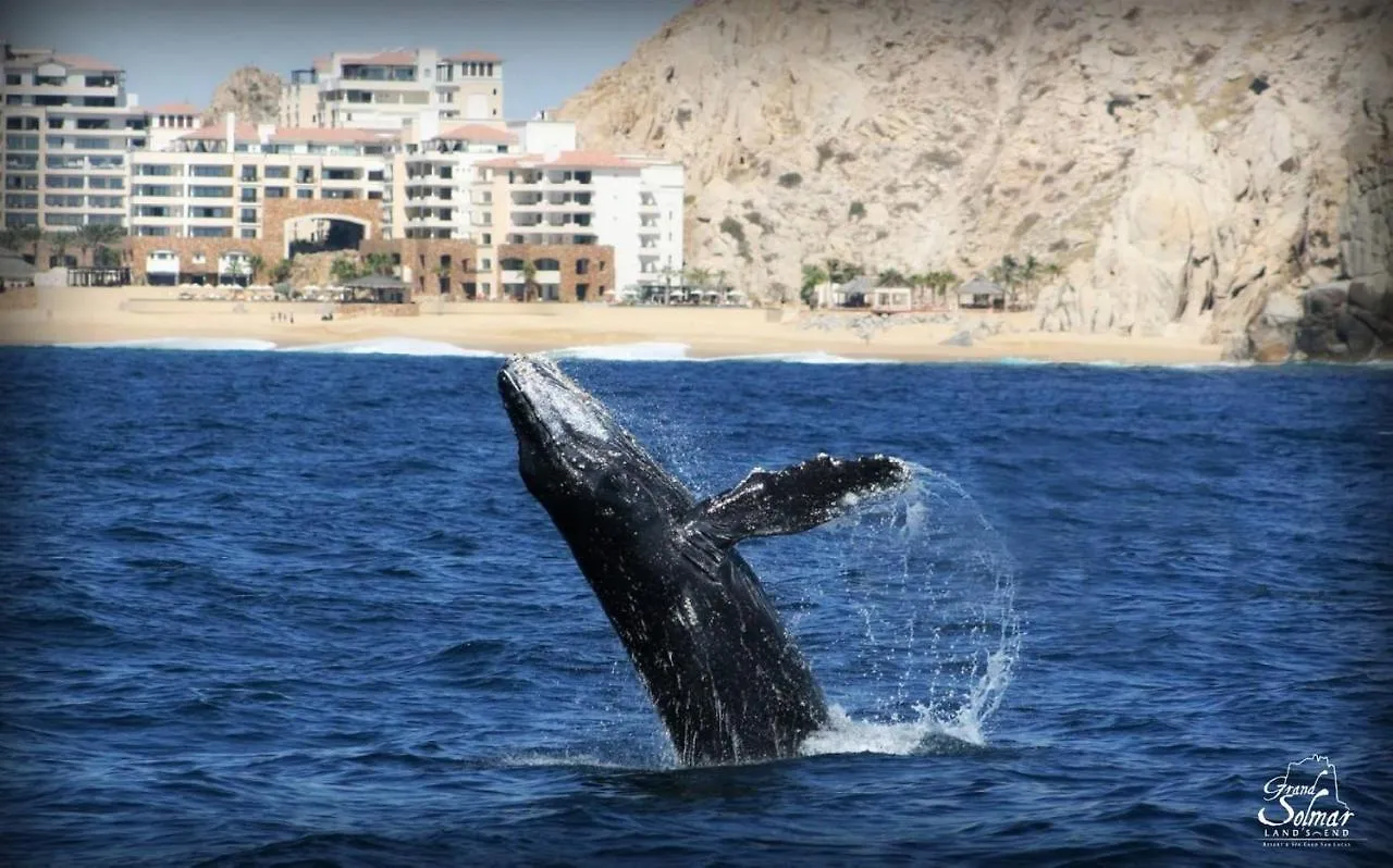 Grand Solmar Land'S End Resort & Spa Кабо-Сан-Лукас